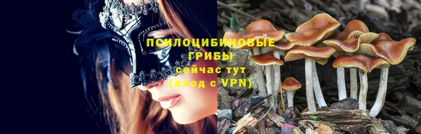 кокаин Богданович