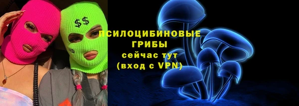 бутират Богородицк