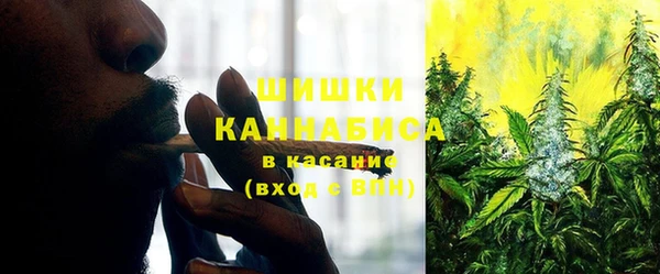 бутират Богородицк